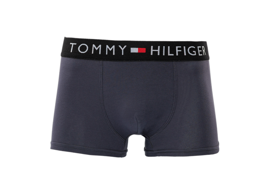 Чоловічі боксери труси 5 шт літні набір Tommy Hilfiger Tomy фото